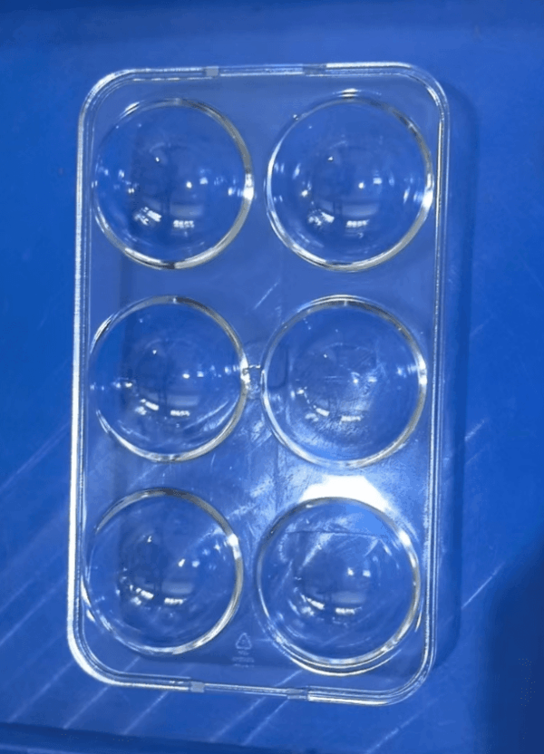 Egg Tray